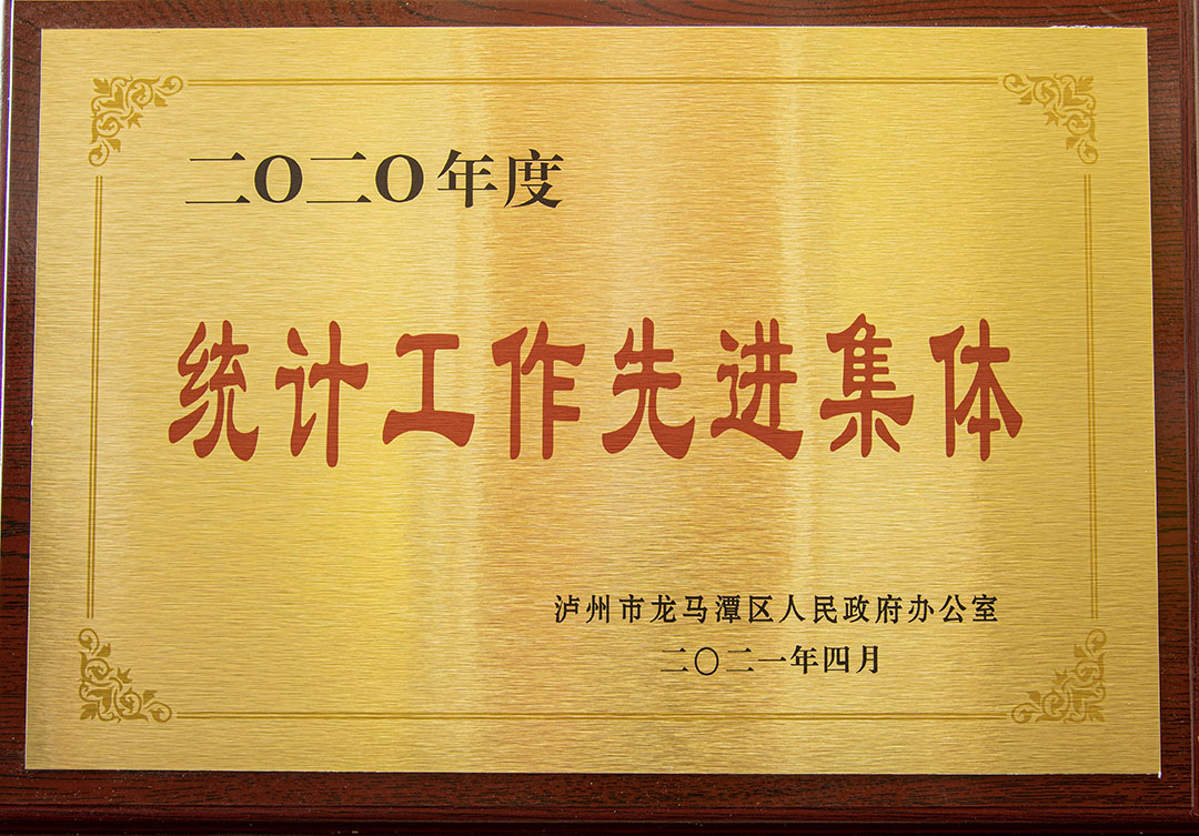 2020年度统计工作先进集体